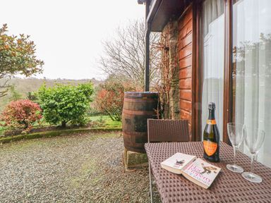 An outdoor patio area with a table holding a bottle of prosecco two glasses and books near a wooden wall at Hilly Field Barn in Yelverton