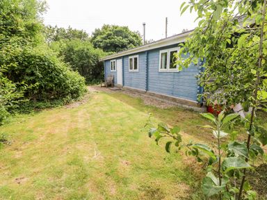 A yard with a blue wooden house surrounded by grass and trees at The Beach Shack in Llansteffan