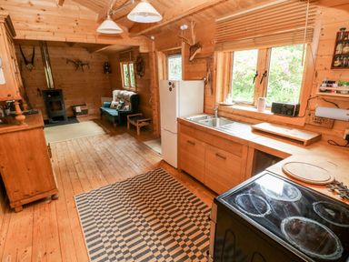 A wooden kitchen and living area with a stove refrigerator sink couch and wood-burning stove at The Beach Shack in Llansteffan
