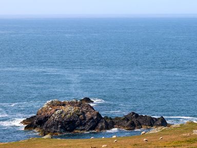 A rocky coastline with sheep grazing on grass near the sea at The Granary - Rhoscolyn in Rhoscolyn