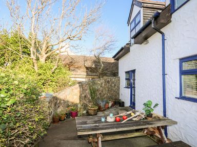 An outdoor patio area with a wooden picnic table and potted plants next to a white house with blue window frames at The Granary - Rhoscolyn