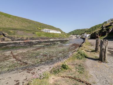A coastal path with grass and flowers beside a rocky riverbed with buildings in the background at Harbour Cottage in Boscastle