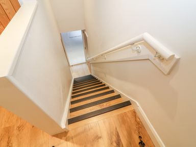 A staircase with wooden steps and black anti-slip strips with a white handrail at Lowe-McConnell in Far Sawrey