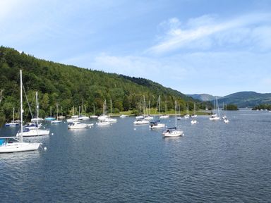 A body of water with several sailboats and motorboats anchored near a forested shoreline at Lowe-McConnell in Far Sawrey