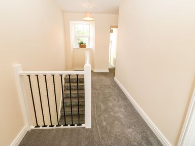 A carpeted staircase and hallway with a window and potted plant at Trewen in Botwnnog near Sarn Meyllteyrn