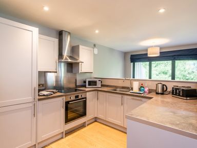 A kitchen with white cabinets a stainless steel oven a microwave sink electric kettle toaster and a window with blinds at Wildcat Lodge in Feshiebridge near Aviemore