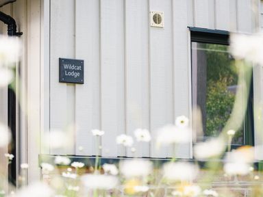 Exterior wall of a building with sign Wildcat Lodge and a window with flowers in the foreground at Wildcat Lodge in Feshiebridge near Aviemore