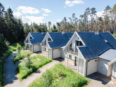 Three connected houses with blue roofs and balconies surrounded by grassy paths and trees at Wildcat Lodge in Feshiebridge near Aviemore