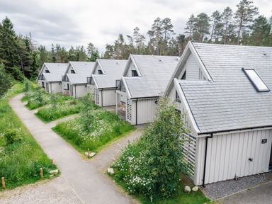 A row of similar grey wooden houses with pitched roofs along a pathway surrounded by grass and trees at Wildcat Lodge in Feshiebridge near Aviemore
