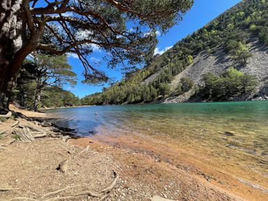 A lakeside with trees and a mountain slope under a blue sky at Golden Eagle Lodge in Aviemore