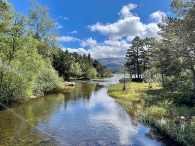 A river flowing through a forested area with trees and grass under a blue sky with clouds