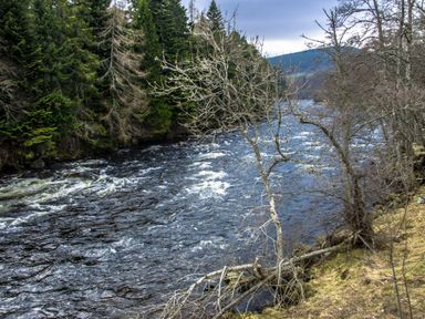 A river flowing through a forested area with trees on both banks at Golden Eagle Lodge in Aviemore