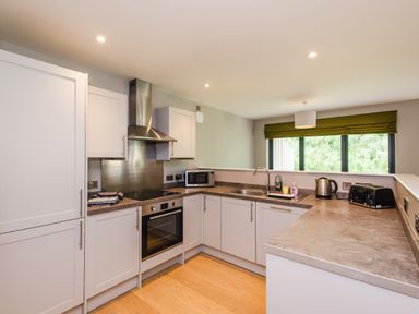 A kitchen with white cabinets a stove a microwave sink kettle and toaster at Golden Eagle Lodge in Aviemore