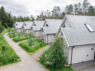 A row of white wooden houses with grey roofs along a pathway surrounded by grass and trees at Golden Eagle Lodge in Aviemore