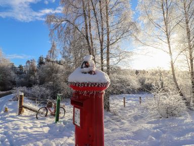 A post box covered in snow near trees and a bicycle at Golden Eagle Lodge in Aviemore