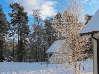 Outdoor scene with trees and snow at Red Deer Lodge Feshiebridge near Aviemore