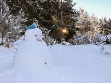 A snowman in a snowy forest setting at Red Deer Lodge in Feshiebridge near Aviemore