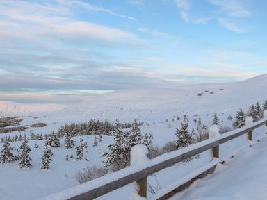 A snowy landscape with trees and mountains at Red Deer Lodge in Feshiebridge near Aviemore