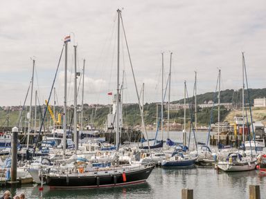 A marina with many sailboats and yachts docked by the shore with hills and buildings in the background