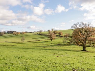 A green grassy field with scattered trees and sheep under a partly cloudy sky at Squires Rest in Llanfair Caereinion