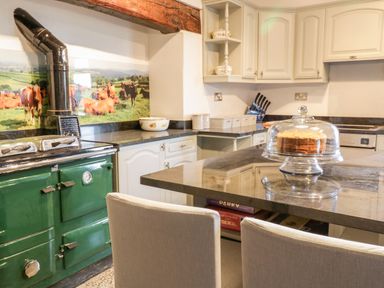 A kitchen with a green stove a countertop with a covered cake and white cabinets a backsplash with cows in a field at Squires Rest in Llanfair Caereinion