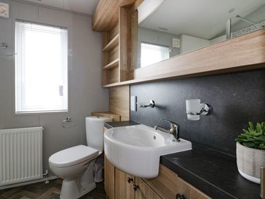 A bathroom with a toilet a sink wooden shelves and a plant on the counter at Pinehurst Lodge in St Day