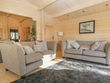 A living room with two grey sofas with patterned cushions a floor lamp a framed picture on a wooden wall and a grey rug at Gardener's Lodge in Huby