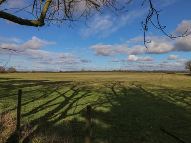 A field with grass and tree shadows under a blue sky with clouds at Gardeners Lodge in Huby