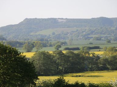 A landscape of green trees and fields with yellow crops and hills in the background at Gardeners Lodge in Huby