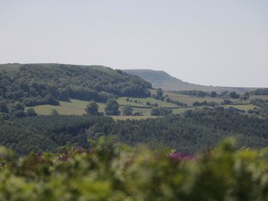 A landscape with hills trees and bushes at Gardener's Lodge in Huby