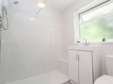 A bathroom with a walk in shower a white vanity with a sink and a toilet at 11 Tremore in Liskeard