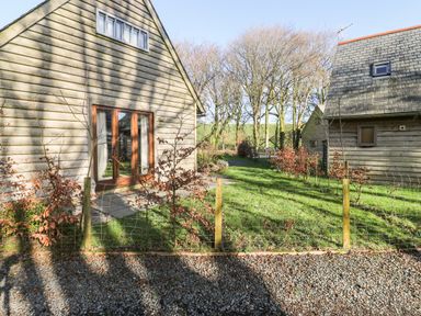 Two wooden houses with peaked roofs and a small garden with young trees and a wire fence at Honeypot Lodge in Camelford