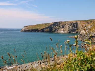 A coastal scene with cliffs, blue water, and wild plants in the foreground at Honeypot Lodge in Camelford