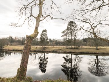 A river with trees on the bank reflecting in the water at Romsey Lodge in Wark