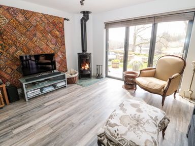 A living room with a TV on a stand a patterned wall hanging a wood stove an armchair and glass doors showing an outdoor view at Romsey Lodge in Wark
