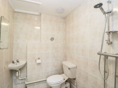 A bathroom with a toilet sink mirror and shower at Pool House The Narth near Trellech