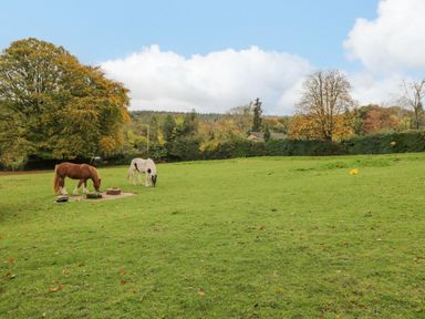 A green field with two horses grazing near trees and a hedge at Pool House in The Narth near Trellech