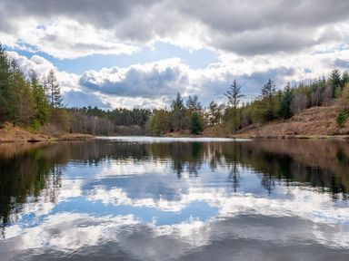 A lake surrounded by trees under a cloudy sky at Keepers Cottage in Hawkshead