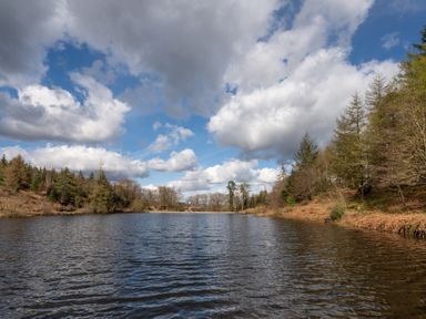 A lake surrounded by trees under a partly cloudy sky at Keepers Cottage in Hawkshead