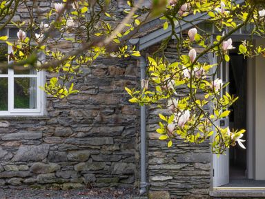 Stone wall of a house with a window and an open door with flowering branches in front at Grassholme Hawkshead