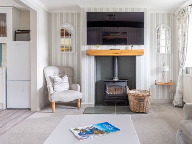 A living room with a wood burning stove basket armchair and television at Grassholme in Hawkshead