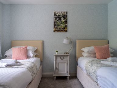 A bedroom with two single beds a nightstand with a lamp and a small plant and a painting on the wall at Grassholme in Hawkshead