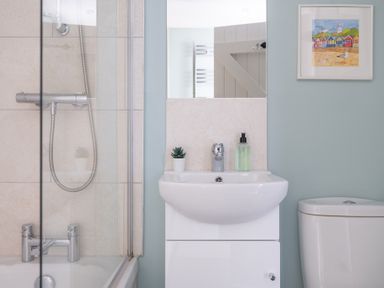 A bathroom with a shower, sink with soap dispenser and small plant, toilet, and a framed picture on the wall at Grassholme in Hawkshead
