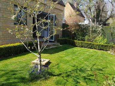A garden with a flowering tree and trimmed bushes outside a stone house at Rosemead in Moreton-In-Marsh