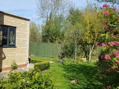 A garden with a lawn a small statue flowers and a dog at Rosemead in Moreton-In-Marsh