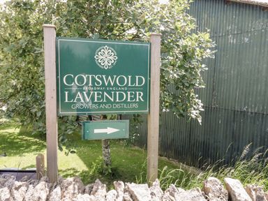 A green sign for Cotswold Lavender Growers and Distillers next to trees and a corrugated metal building at Rosemead in Moreton-In-Marsh