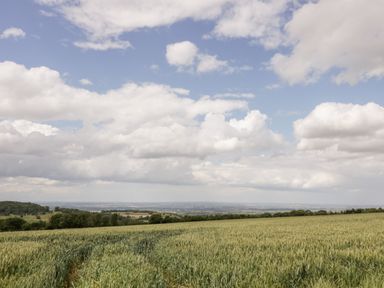 A wide open field with green crops under a cloudy sky at Rosemead in Moreton-In-Marsh