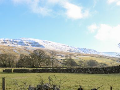 A grassy field with stone walls and trees with snow-covered hills in the background under a blue sky at Pine Cottage in Sedbergh