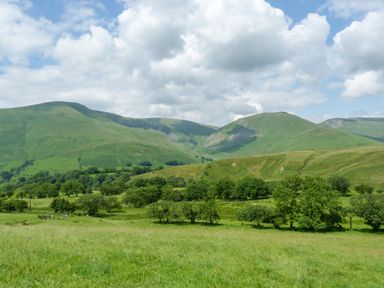 A grassy field with scattered trees and green hills under a cloudy sky at Pine Cottage in Sedbergh