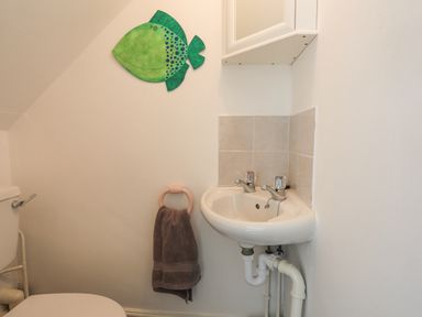 A small bathroom with a corner sink and a towel ring holding a towel and a fish wall decoration at Sea View Cottage in Menai Bridge
